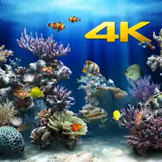 Application Aquarium 4K 4+