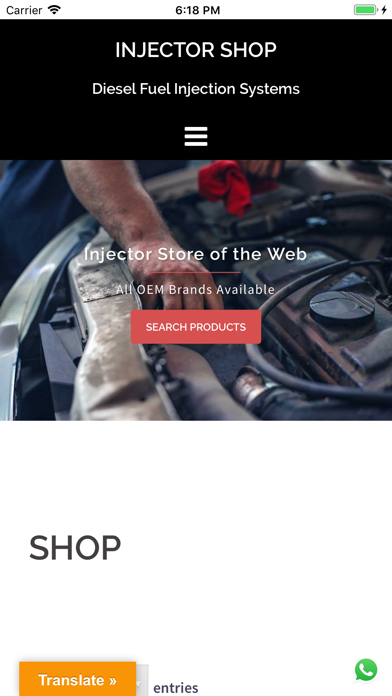 Screenshot #1 pour INJECTOR SHOP