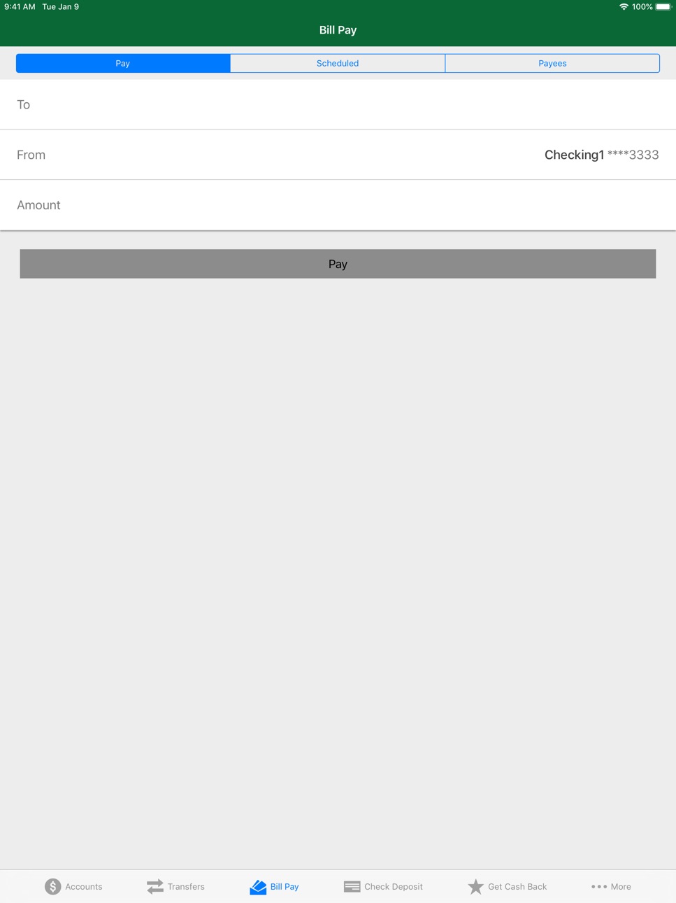 iPad screenshot
