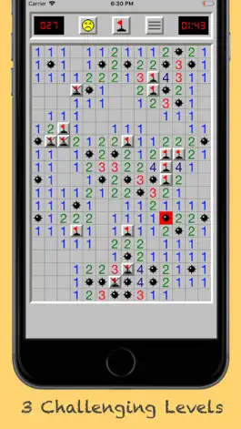 Game screenshot Minesweeper Classic Puzzles apk