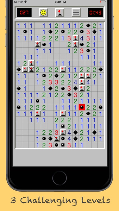 Minesweeper Classic Puzzles Screenshot