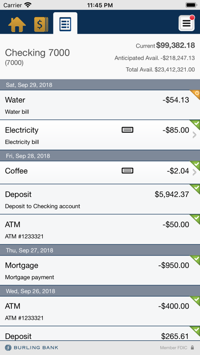 Burling Bank Business Screenshot