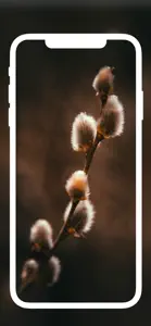 Smereka | Ukrainian Wallpapers screenshot #8 for iPhone