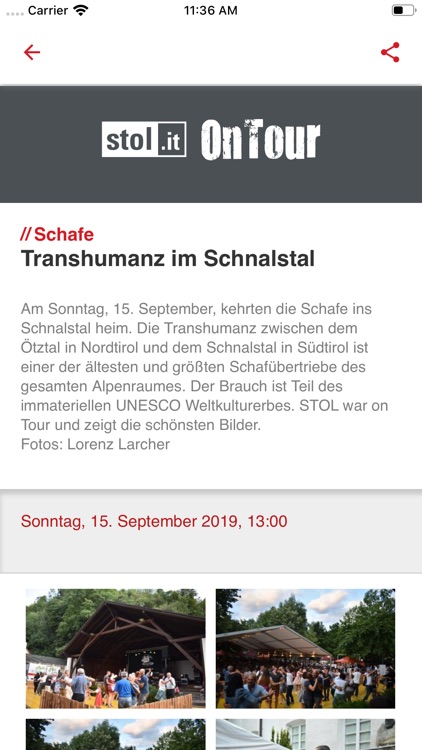 stol.it screenshot-6