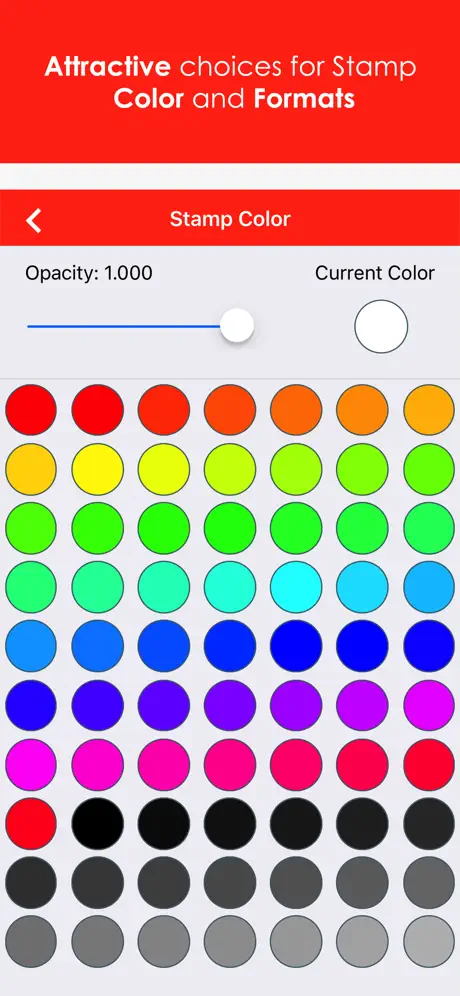 Auto timestamp & text to video