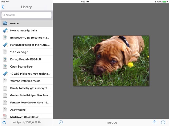 Screenshot #4 pour Yojimbo for iPad