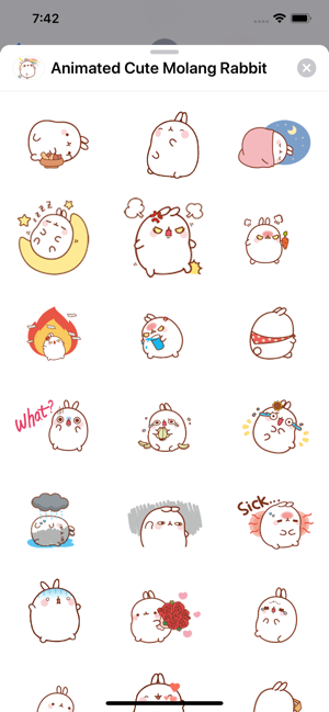 Animated Cute Molang Rabbit(圖4)-速報App