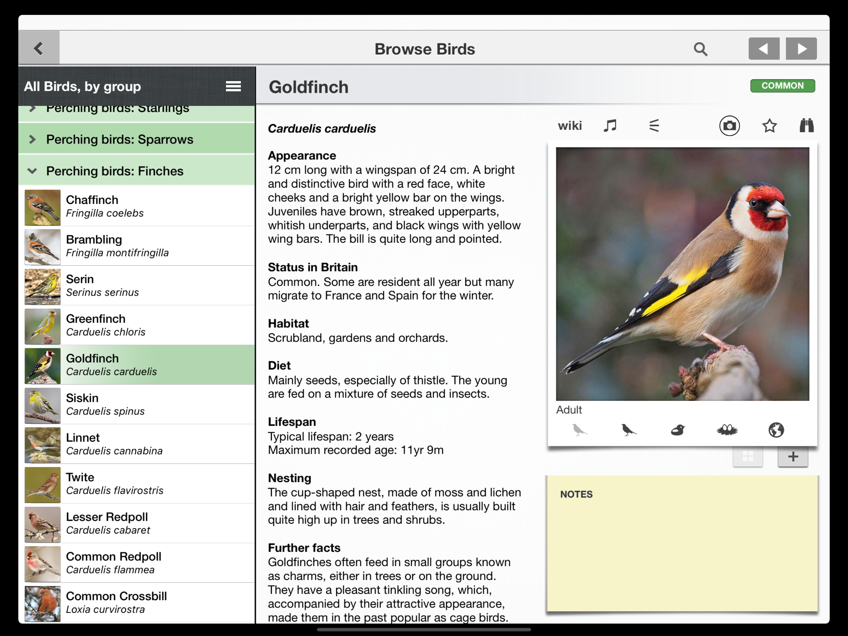 Birds of Britain Pro
