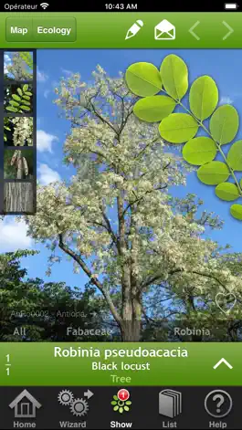 Game screenshot Trees & shrubs mod apk