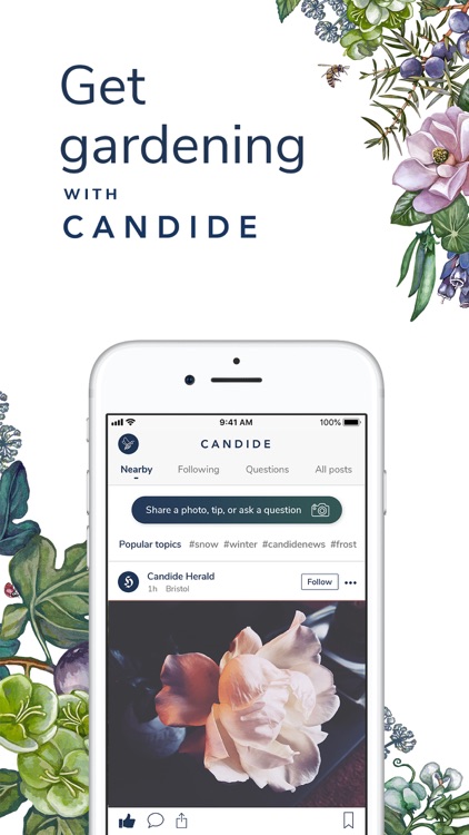 Candide – Plants & Gardening