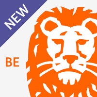  ING Banking Alternative