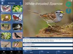 Bird Song Id USA songs & calls iPad image 2