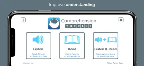 Comprehension Therapy