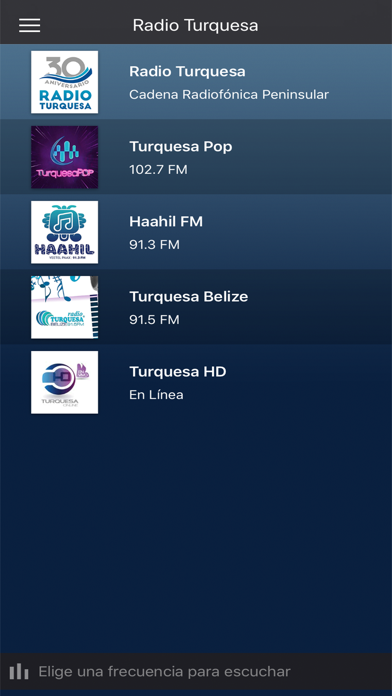 Radio Turquesa Screenshot