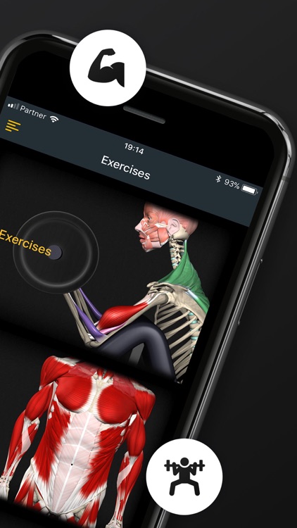 Strength by Muscle & Motion
