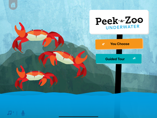 Peek-a-Zoo: The Collection iPad screenshot 8 - Education app