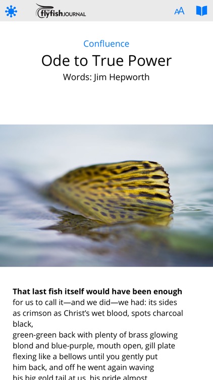 The Flyfish Journal screenshot-7