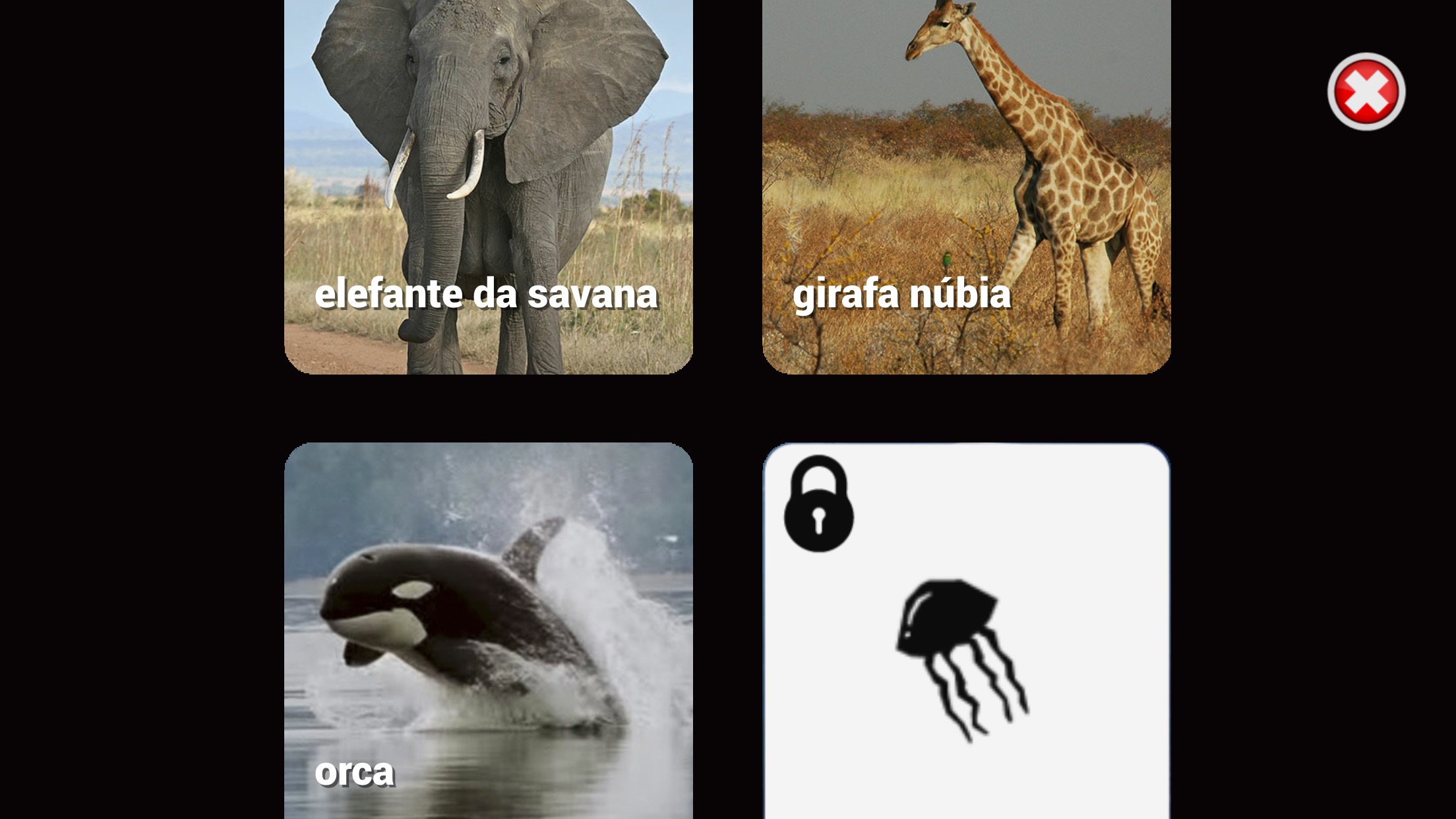 Screenshot do app Animais no Planeta