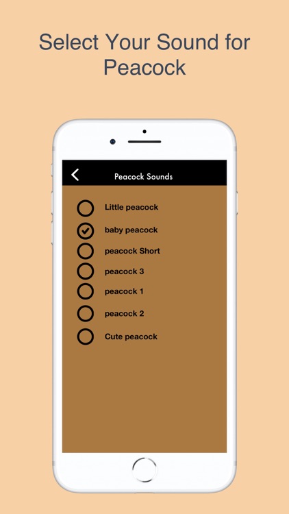 Baby Peacock Duck Sounds screenshot-3