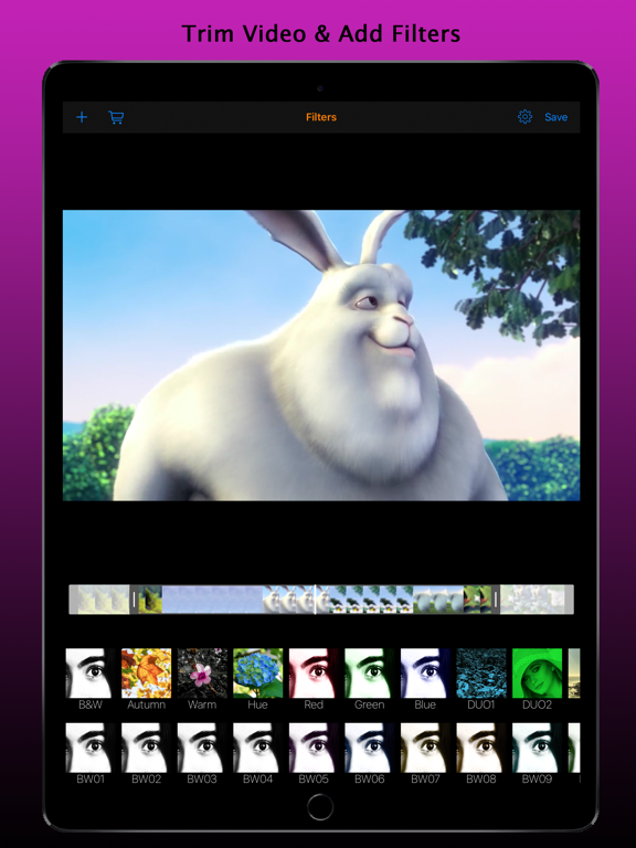 Screenshot #4 pour VideoFinish Pro