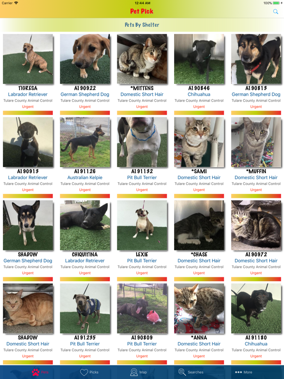 Pet Pick iPad screenshot 3 - Lifestyle app