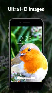 wallpaper tree: 4k wallpapers iphone screenshot 2