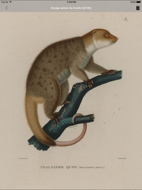 MAU M&L Natural History iPad screenshot 4 - Education app