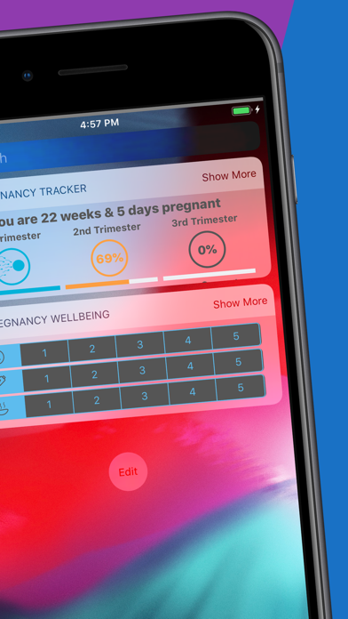 Pregnancy Today - Baby Tracker Screenshot