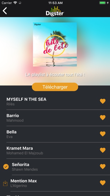 Digster Music Maroc screenshot-4