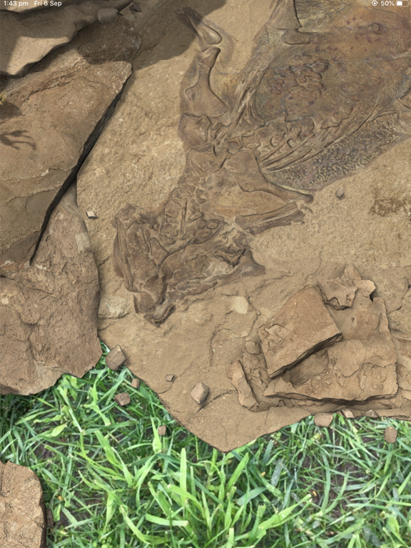 Screenshot #6 pour Famous Fossil