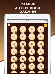 Эврика! Логические Задачи Игры айпад изображения 1
