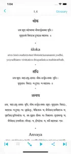 Bhagavad Gita - Sri Aurobindo screenshot #4 for iPhone