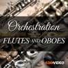Flutes and Oboes by AV 103