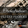 Flutes and Oboes by AV 103 pour PC