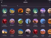go talk - apprendre la langue iPad Captures Décran 1