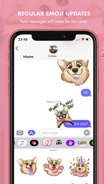 MaxiMojis - Corgi dog stickers screenshot-7