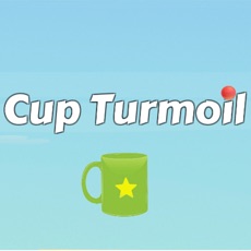 Activities of Cup Turmoil