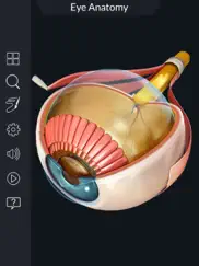 my eye anatomy ipad resimleri 3