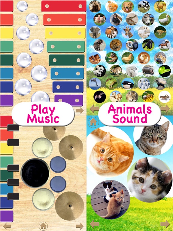 Sound Touch - Touch the Sound iPad screenshot 1 - Education app