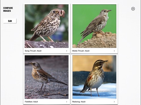 Birds of Britain Pocket Guideのおすすめ画像8