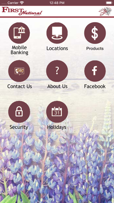 First National Bank Eagle Lake Screenshot