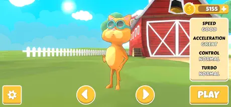 Pets & Planes - Air Race