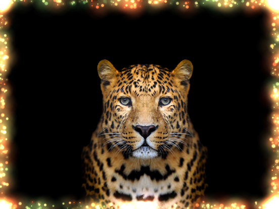 Dotsee iPad screenshot 6 - Lifestyle app