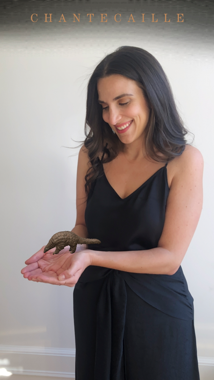 Chantecaille Wild Beauty