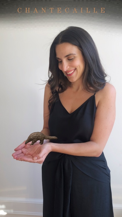 Chantecaille Wild Beauty screenshot-7