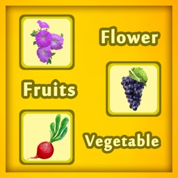 Guess Fruit Flower Vegetable