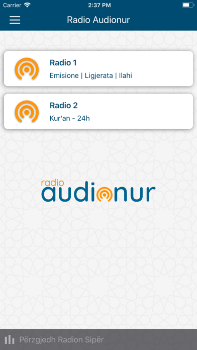 Radio Audionur screenshot 3