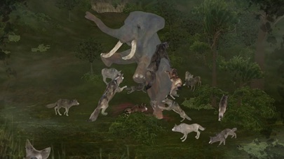 Wild Animals Online(WAO) Screenshot