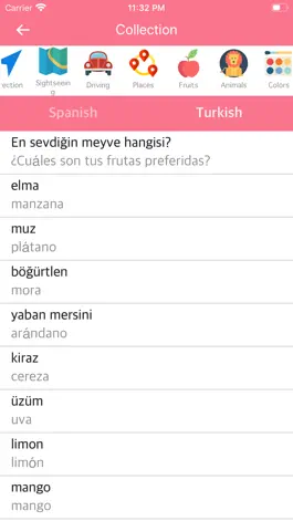 Game screenshot Spanish-Turkish Dictionary apk