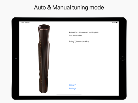 Guqin Tuner iPad screenshot 4 - Music app